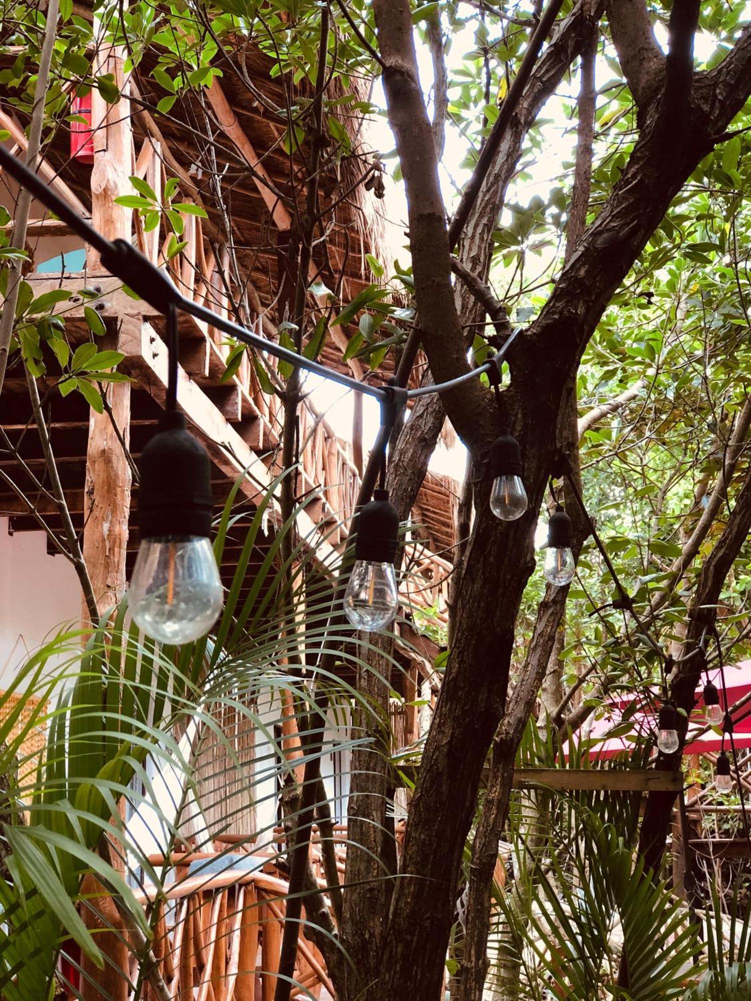 Cabanas Tulum - Aldea Mangle & Cenote Eksteriør billede