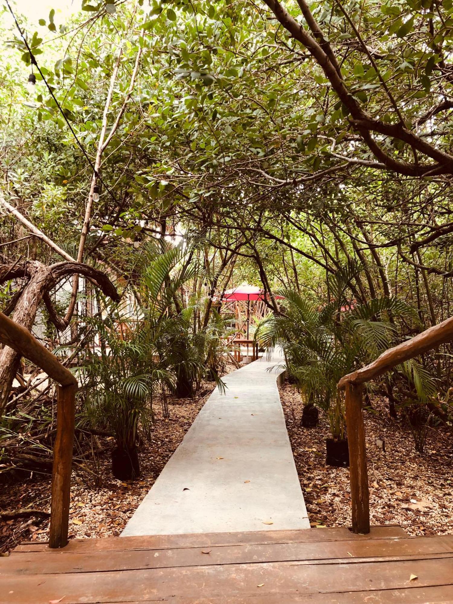 Cabanas Tulum - Aldea Mangle & Cenote Eksteriør billede
