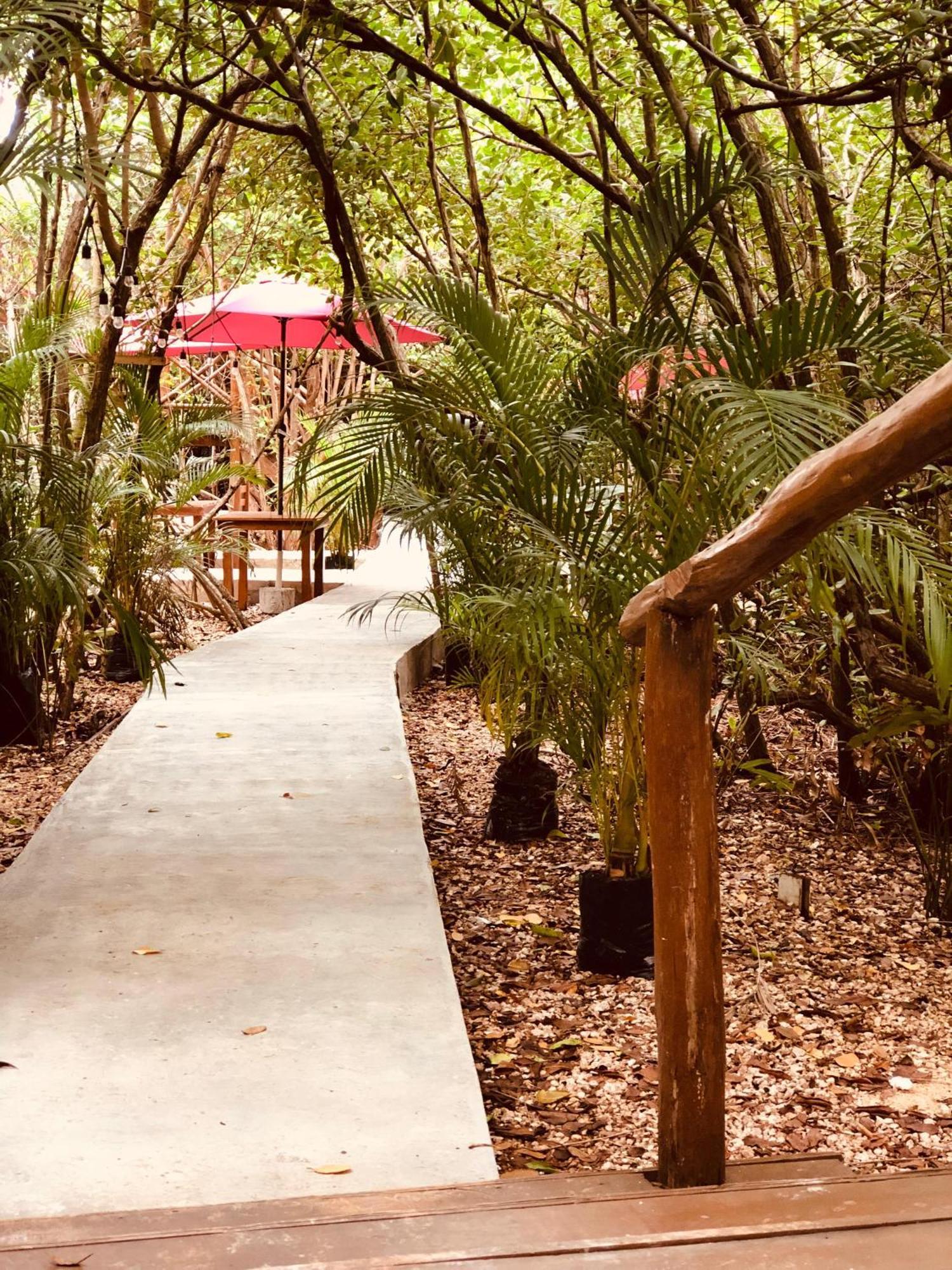Cabanas Tulum - Aldea Mangle & Cenote Eksteriør billede