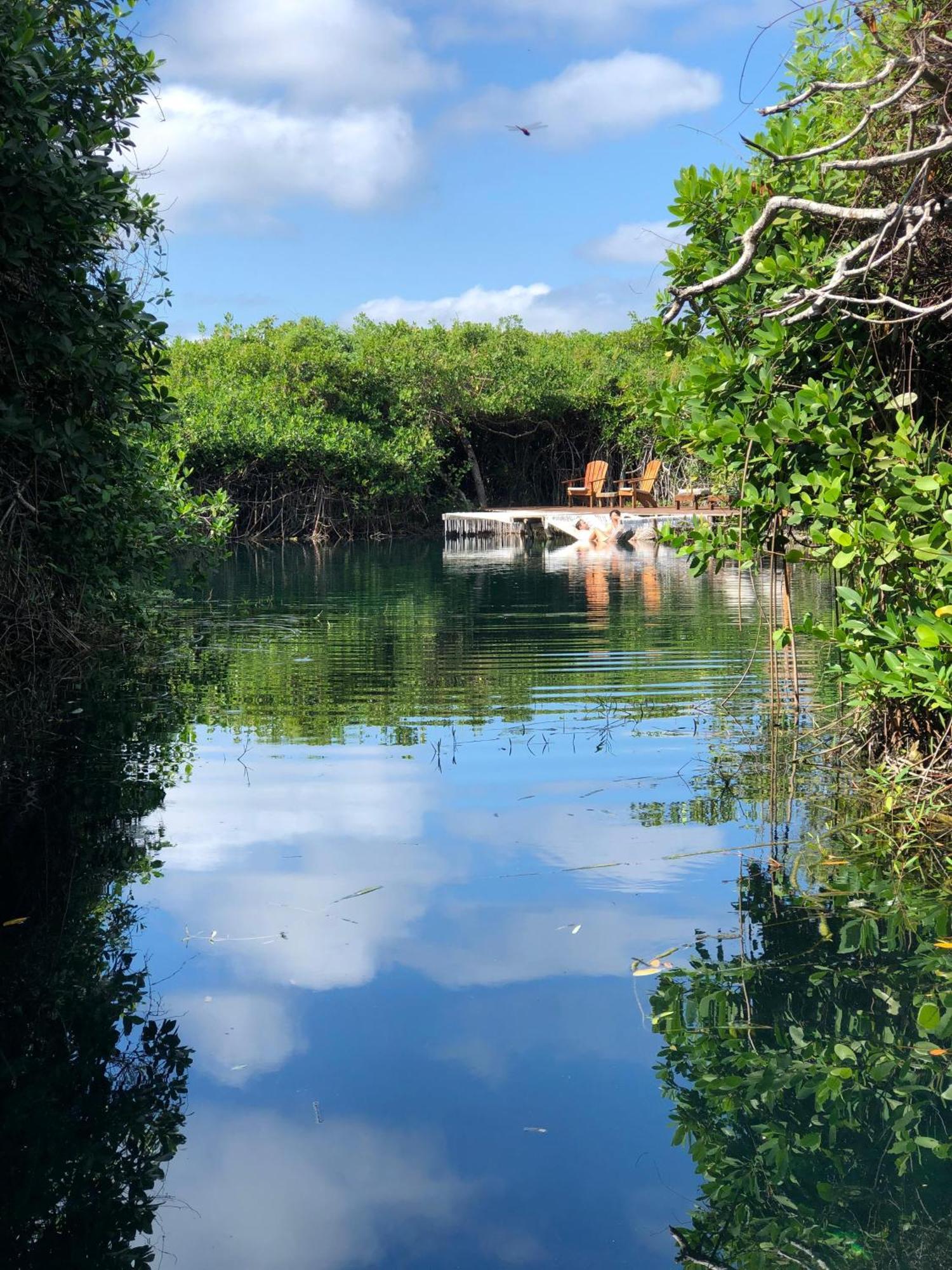 Cabanas Tulum - Aldea Mangle & Cenote Eksteriør billede