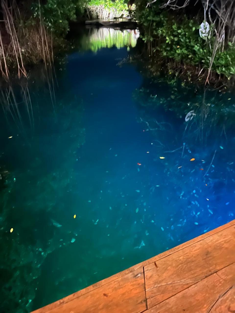 Cabanas Tulum - Aldea Mangle & Cenote Eksteriør billede