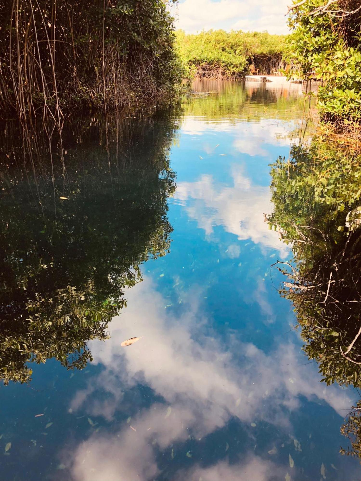 Cabanas Tulum - Aldea Mangle & Cenote Eksteriør billede