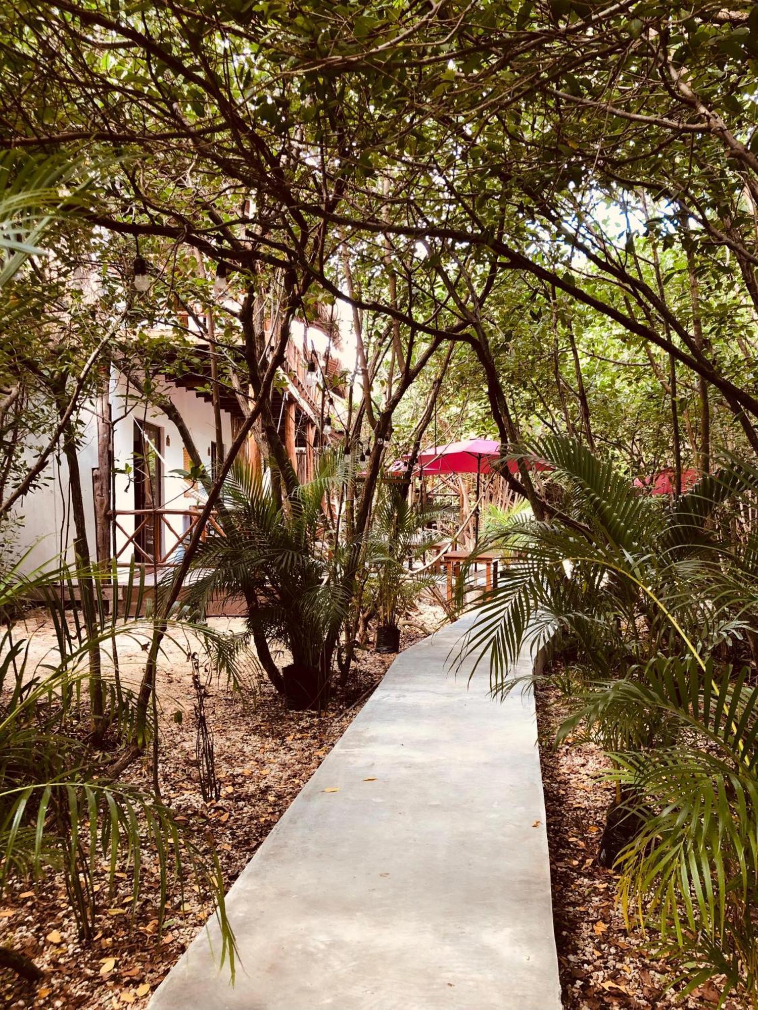 Cabanas Tulum - Aldea Mangle & Cenote Eksteriør billede