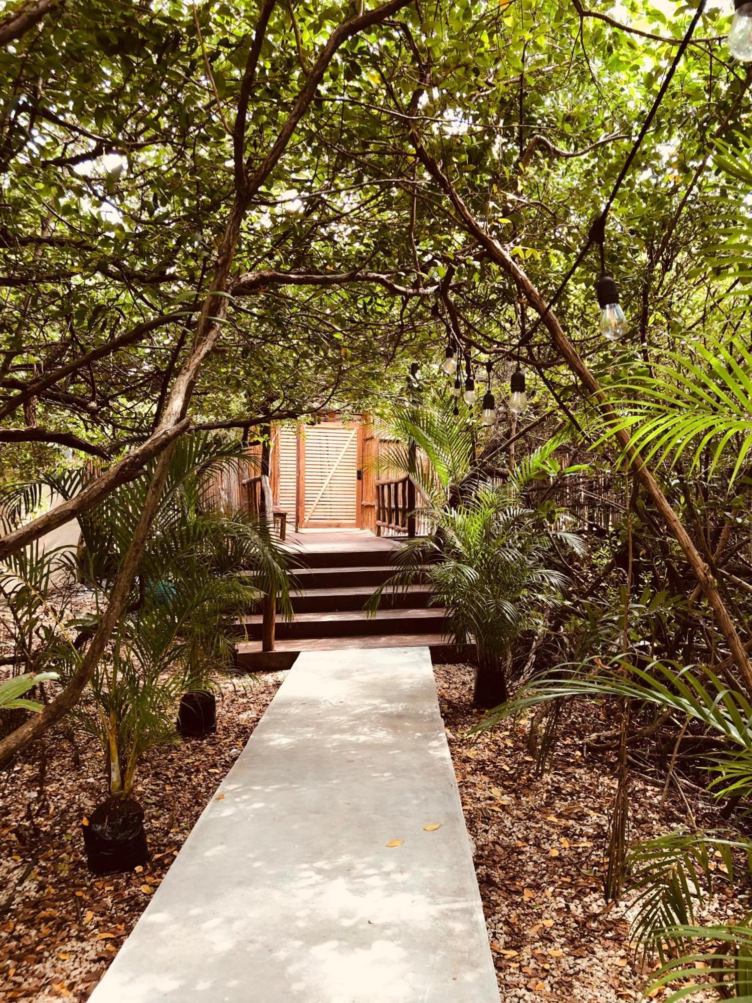 Cabanas Tulum - Aldea Mangle & Cenote Eksteriør billede