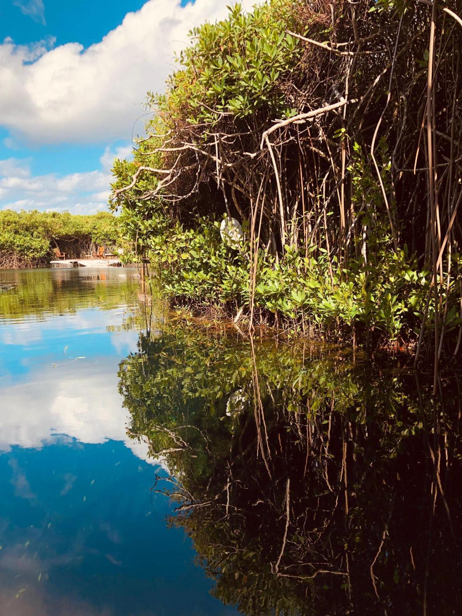 Cabanas Tulum - Aldea Mangle & Cenote Eksteriør billede