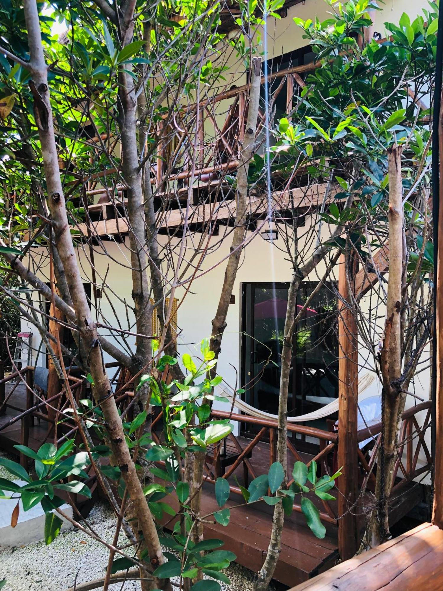Cabanas Tulum - Aldea Mangle & Cenote Eksteriør billede