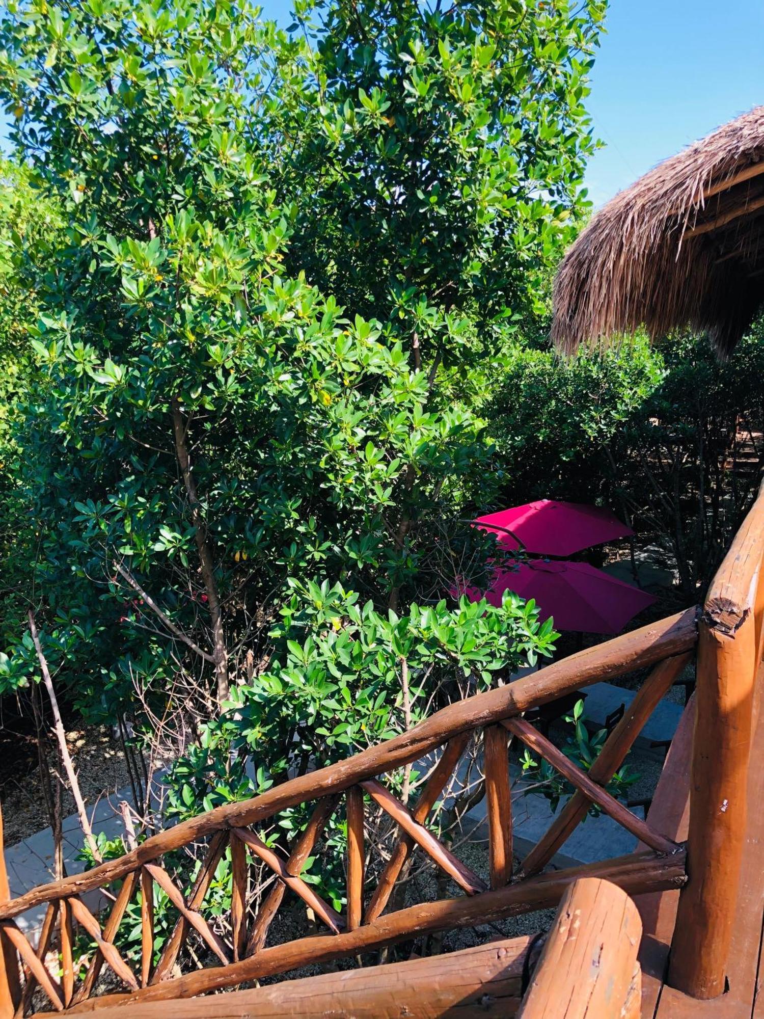 Cabanas Tulum - Aldea Mangle & Cenote Eksteriør billede