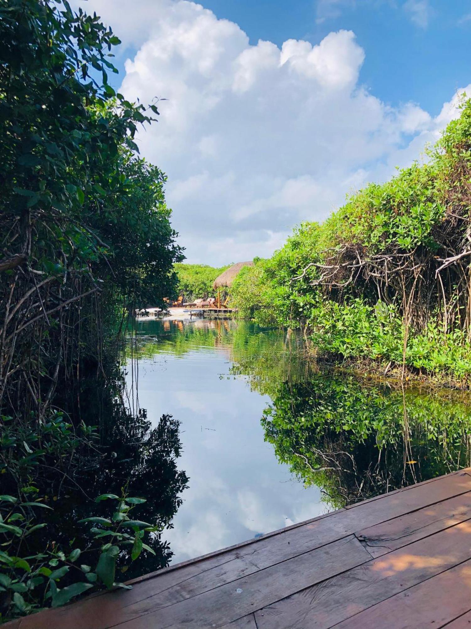 Cabanas Tulum - Aldea Mangle & Cenote Eksteriør billede
