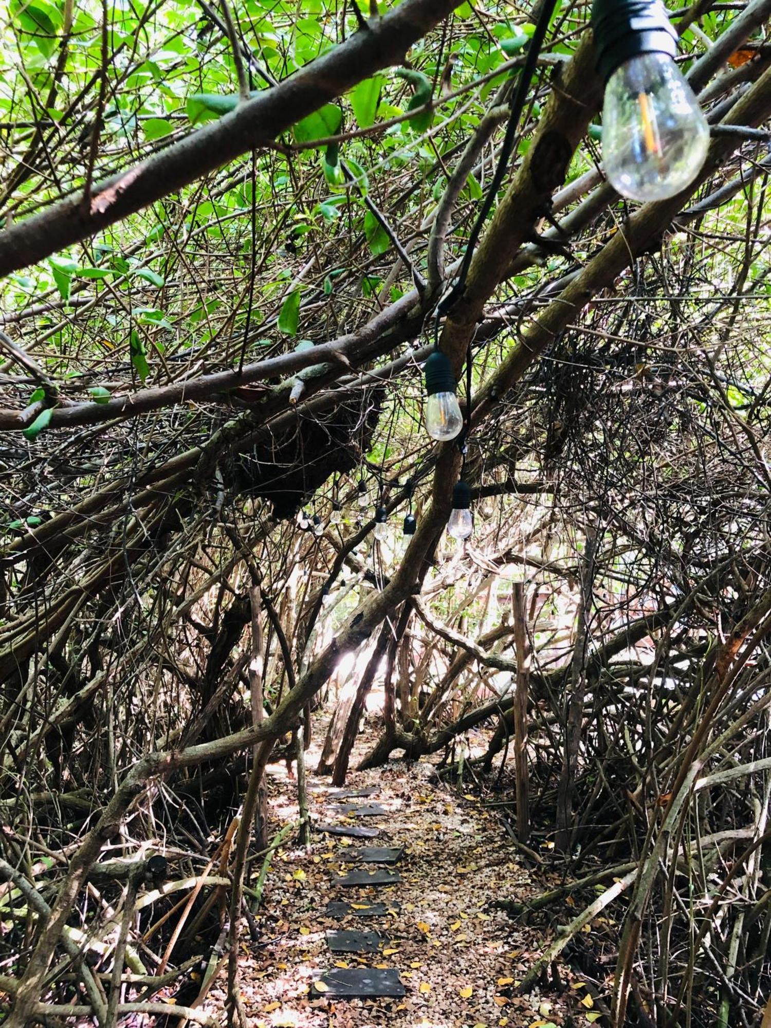 Cabanas Tulum - Aldea Mangle & Cenote Eksteriør billede
